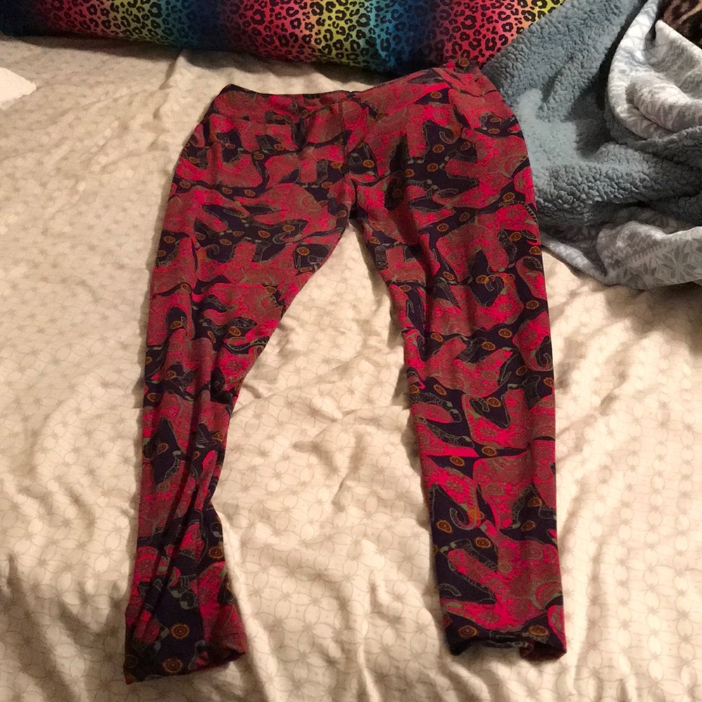 Rare Elephant Paisley Lularoe TC leggings